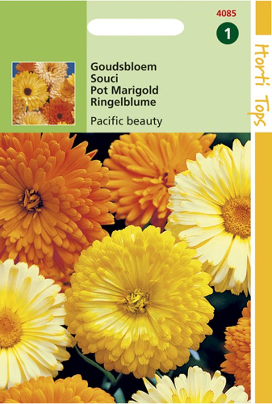 Goudsbloem Pacific Beauty (Calendula) 300 zaden